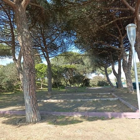 Lara 2 - T2 Balcon Piscine Lit Double & Clic-Clac Parking Pres Du Centre-Port Et Ile Loisirs Agde Buitenkant foto