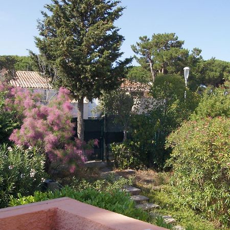 Lara 2 - T2 Balcon Piscine Lit Double & Clic-Clac Parking Pres Du Centre-Port Et Ile Loisirs Agde Buitenkant foto