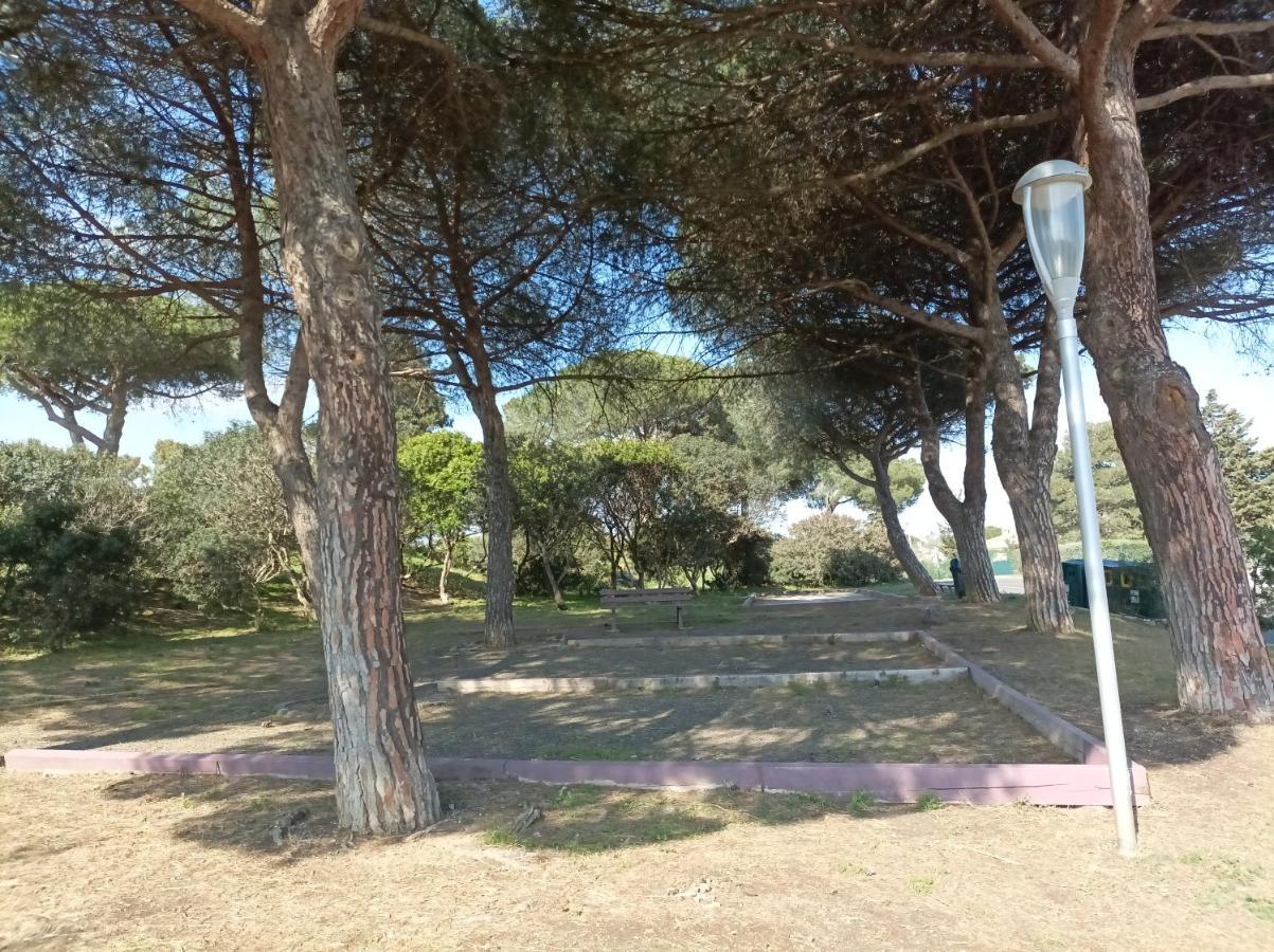 Lara 2 - T2 Balcon Piscine Lit Double & Clic-Clac Parking Pres Du Centre-Port Et Ile Loisirs Agde Buitenkant foto