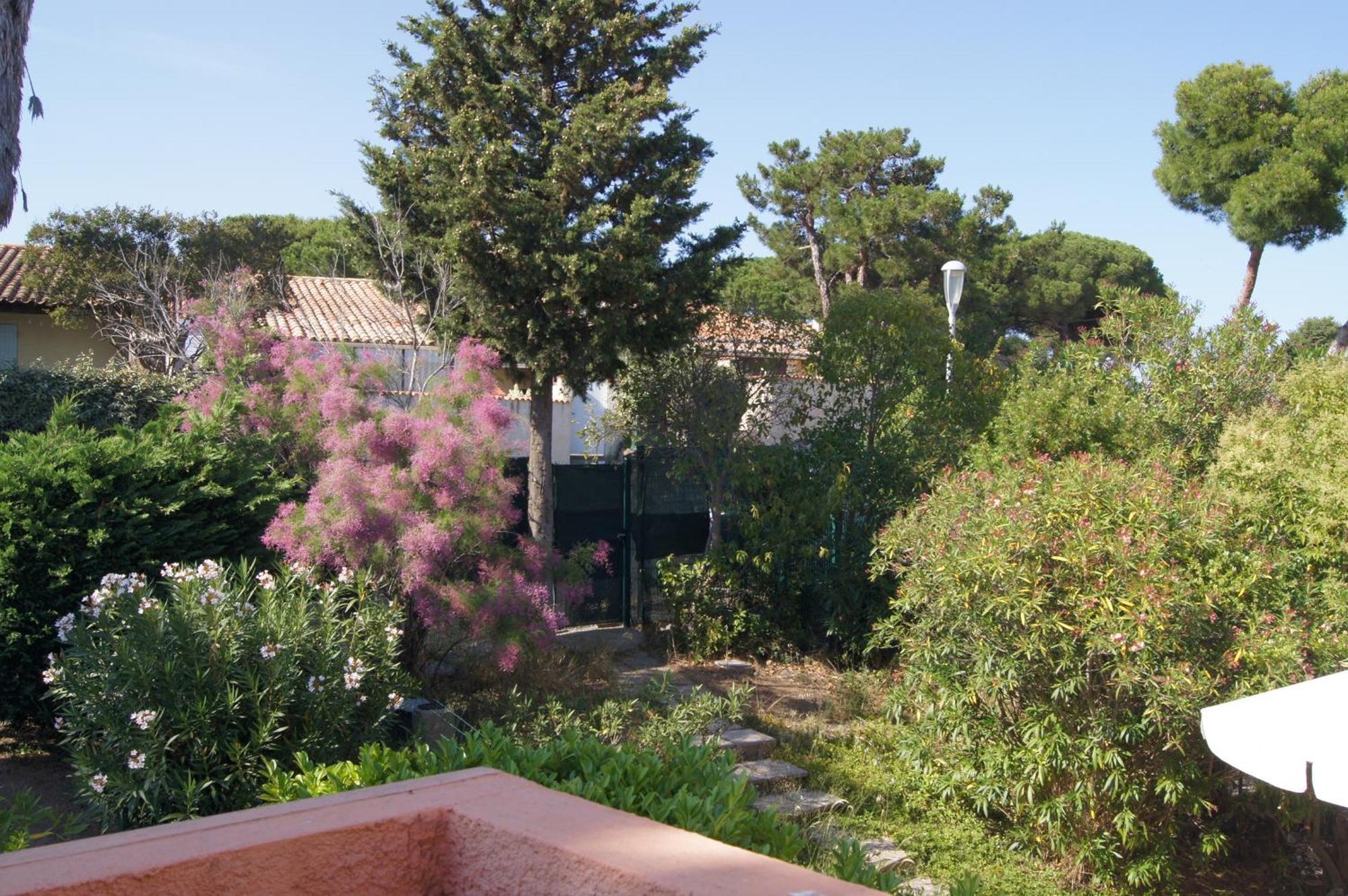 Lara 2 - T2 Balcon Piscine Lit Double & Clic-Clac Parking Pres Du Centre-Port Et Ile Loisirs Agde Buitenkant foto